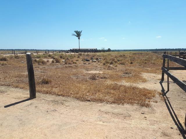 Fazenda de 220 alqueire em Novo Mundo -MT - Foto 2