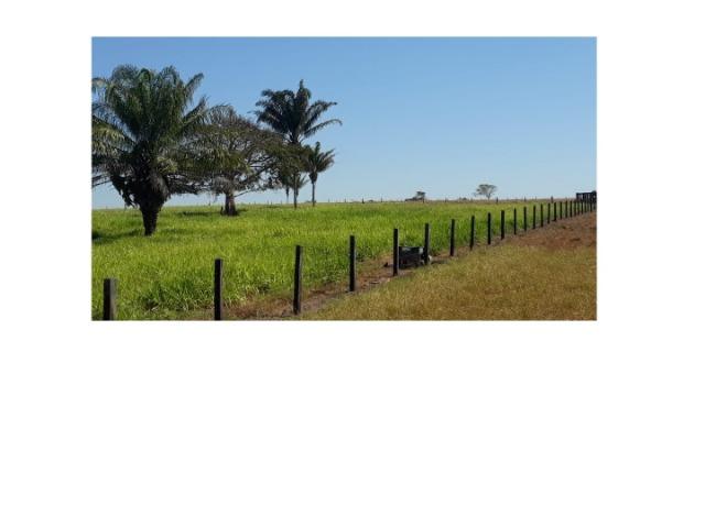 265 Alqueires, terra argilosa pecuária, Próximo MT-220 - Foto 3
