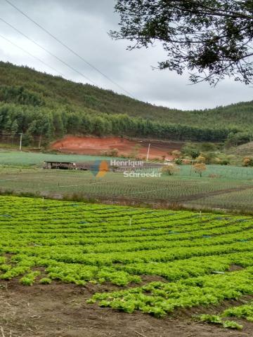Fazenda produtiva, 116 ha, vale alpino, teresópolis, rj - Foto 3