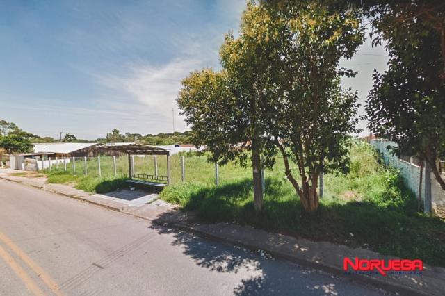 Terreno para alugar em Costeira, Sao jose dos pinhais cod:36066.001 - Foto 3