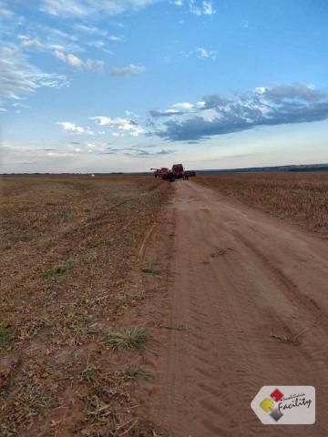 Fazenda de grãos em pontes e lacerda - mato grosso - Foto 5