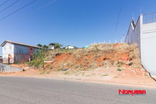 Terreno para alugar em Alto maracanã, Colombo cod:36400.001 - Foto 3