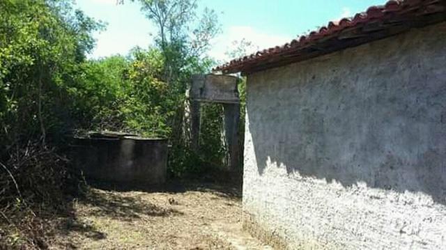 Sítio / Após mandacaru - Foto 5