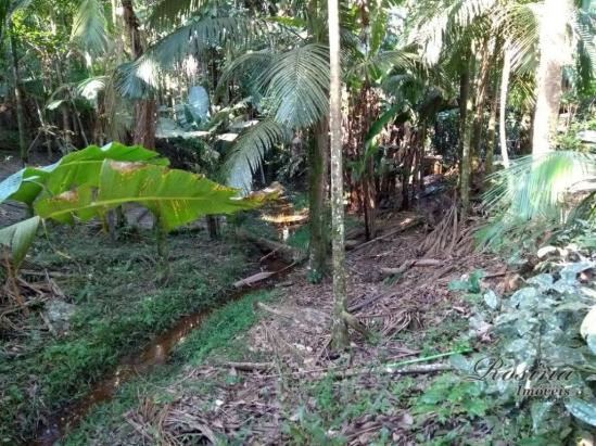 Chácara à venda, 1180 m² por r$ 120.000 - américa de cima - morretes/pr - Foto 6