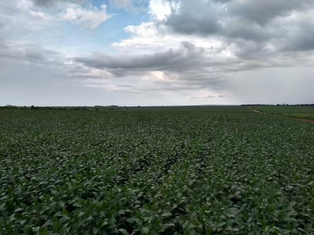 Fazenda em Santa Maria das barreiras-Pa - Foto 2