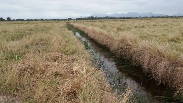 Venda-se está fazenda de 88 Alqueires no Estado do Rio de janeiro/ RJ - Foto 18