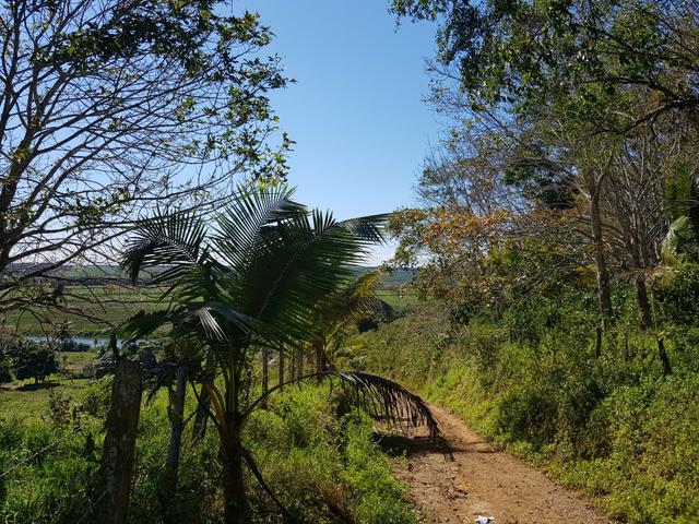 Vendo fazenda em Nova Almeida - Foto 10