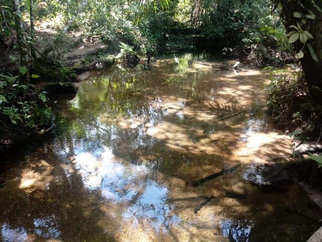 Fazenda no Mato Grosso em Rosário Oeste com 784 Hectares - Foto 10