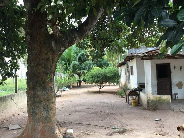 Sol 22 - Excelente Granja sendo 6385m² no Centro - São José de Mipibu - RN - Foto 3