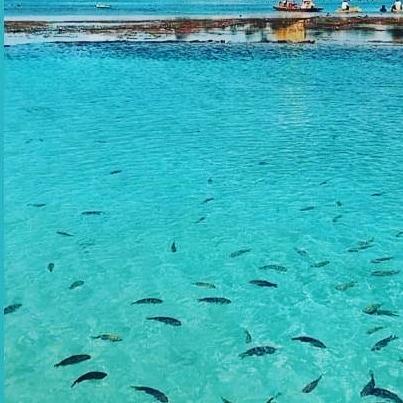 Sobrado Praia Sirinhaém - PE Prox. Porto de Galinhas Ac Permuta Cód. PGL-1 - Foto 11