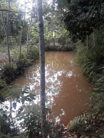 Vendo chácara na serra - Foto 4