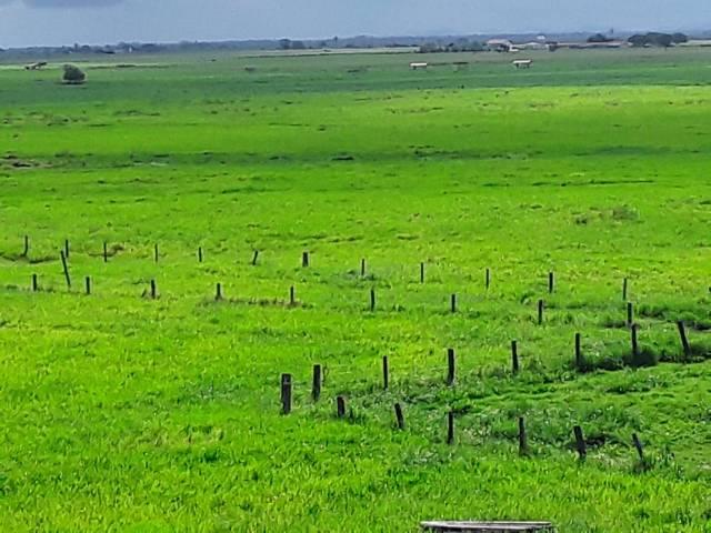 Fazenda 180 alqueires Linhares - Foto 19
