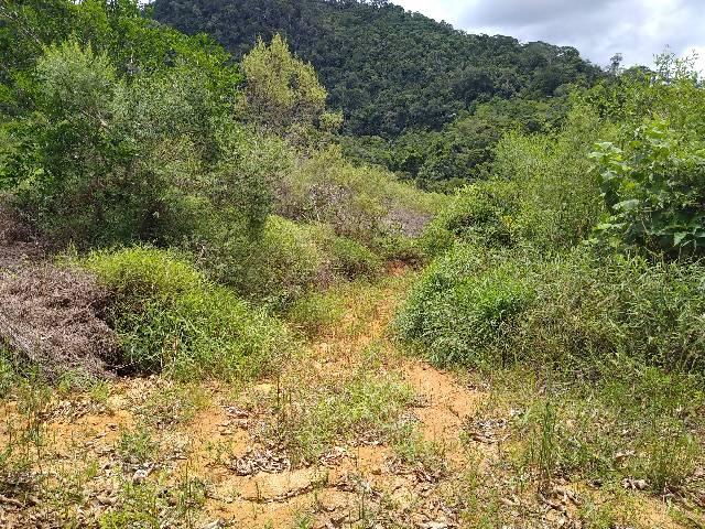 Sítio Viana meia legue 5 alqueires - Foto 17