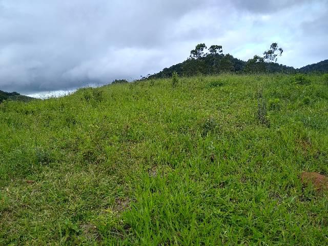 Fazendinha 15 alqueires Cariacica - Foto 7