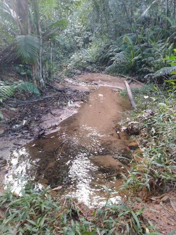 Sítio nas montanhas - Foto 3