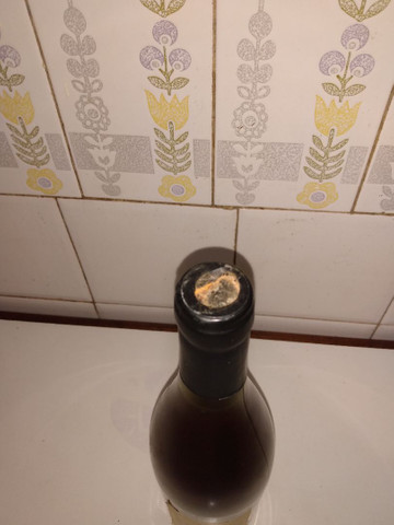 Vinho branco miolo seleção - Foto 3
