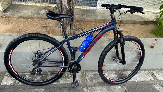 schwinn eagle a20