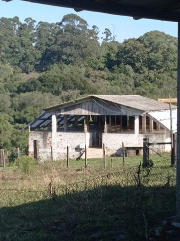 Vendo sítio maravilhoso - Direto com proprietário - Foto 5
