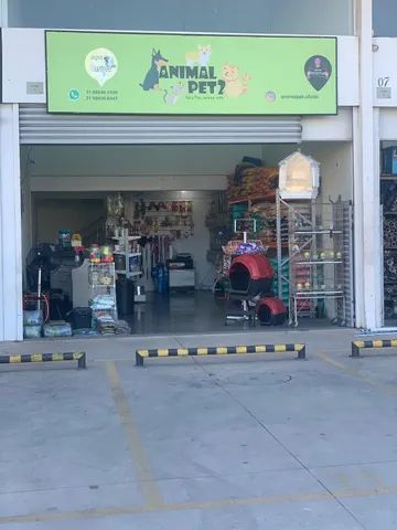 Pet Shop Perto de Mim Vila Santa Terezinha - Pet Shop Banho e Tosa