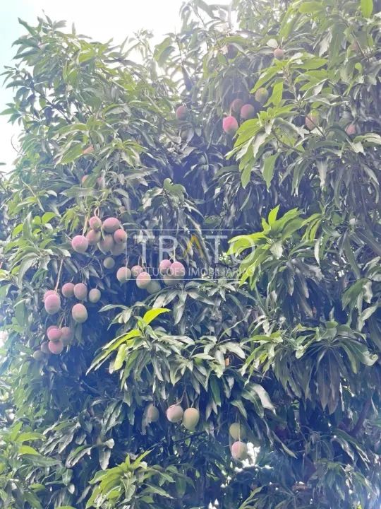 Casa a venda no bairro Cidade de Satélite Iris - Foto 4