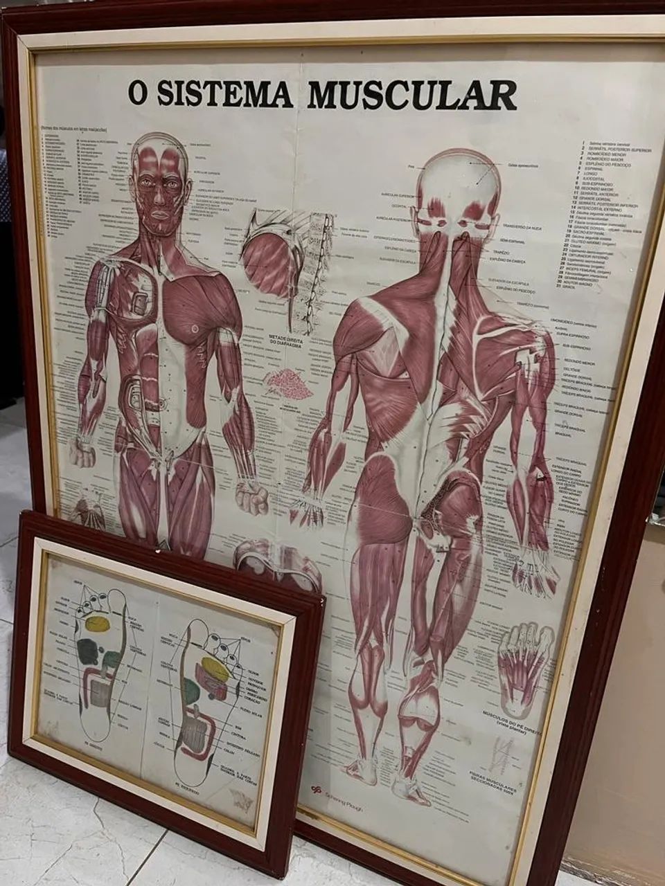 Quadros para clinicas 63824564201473122