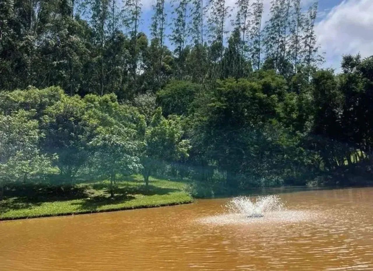 Invista no Mercado Imobiliário  Terrenos de 1000m²! - Foto 5