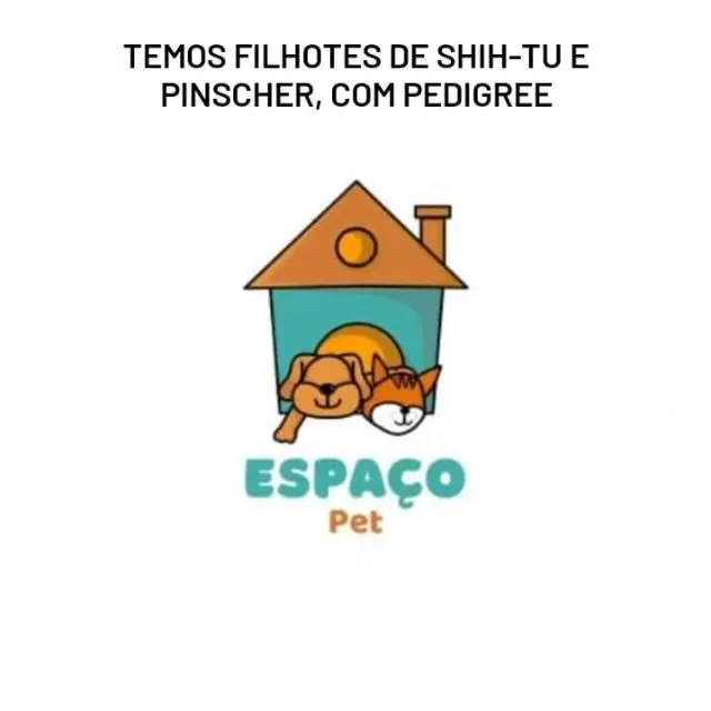 Filhotes de Shih-Tzu e Pinscher com Pedigree