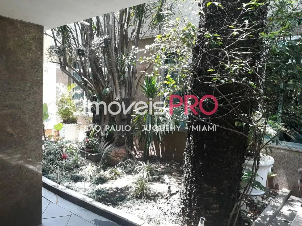 380m² com Edicula e 6 vagas - Foto 4