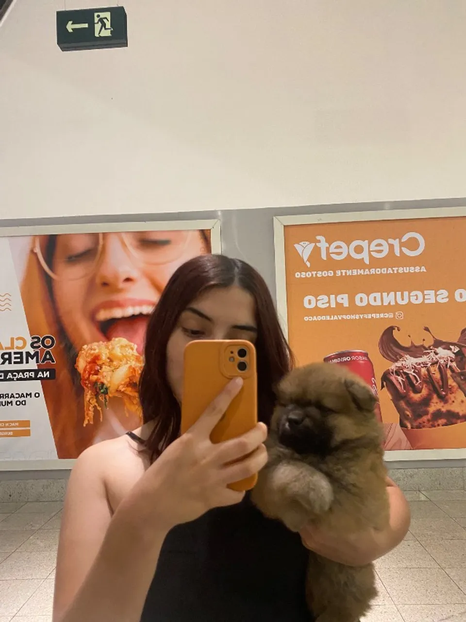 Filhote de Chow chow