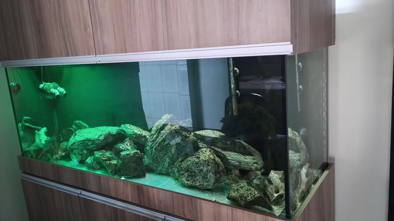 Aquário Grande com Decoração em Pedras