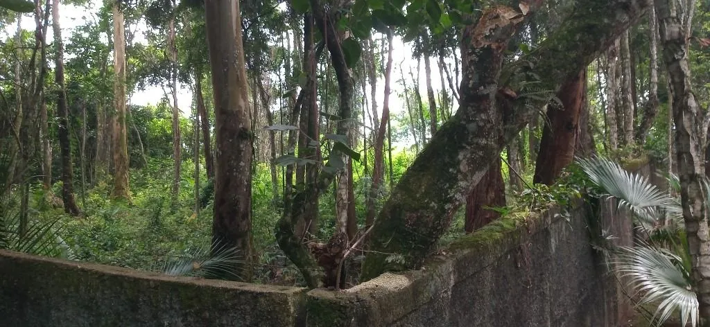 Granja Viana, Terreno à venda, 500 m² - Cotia/SP