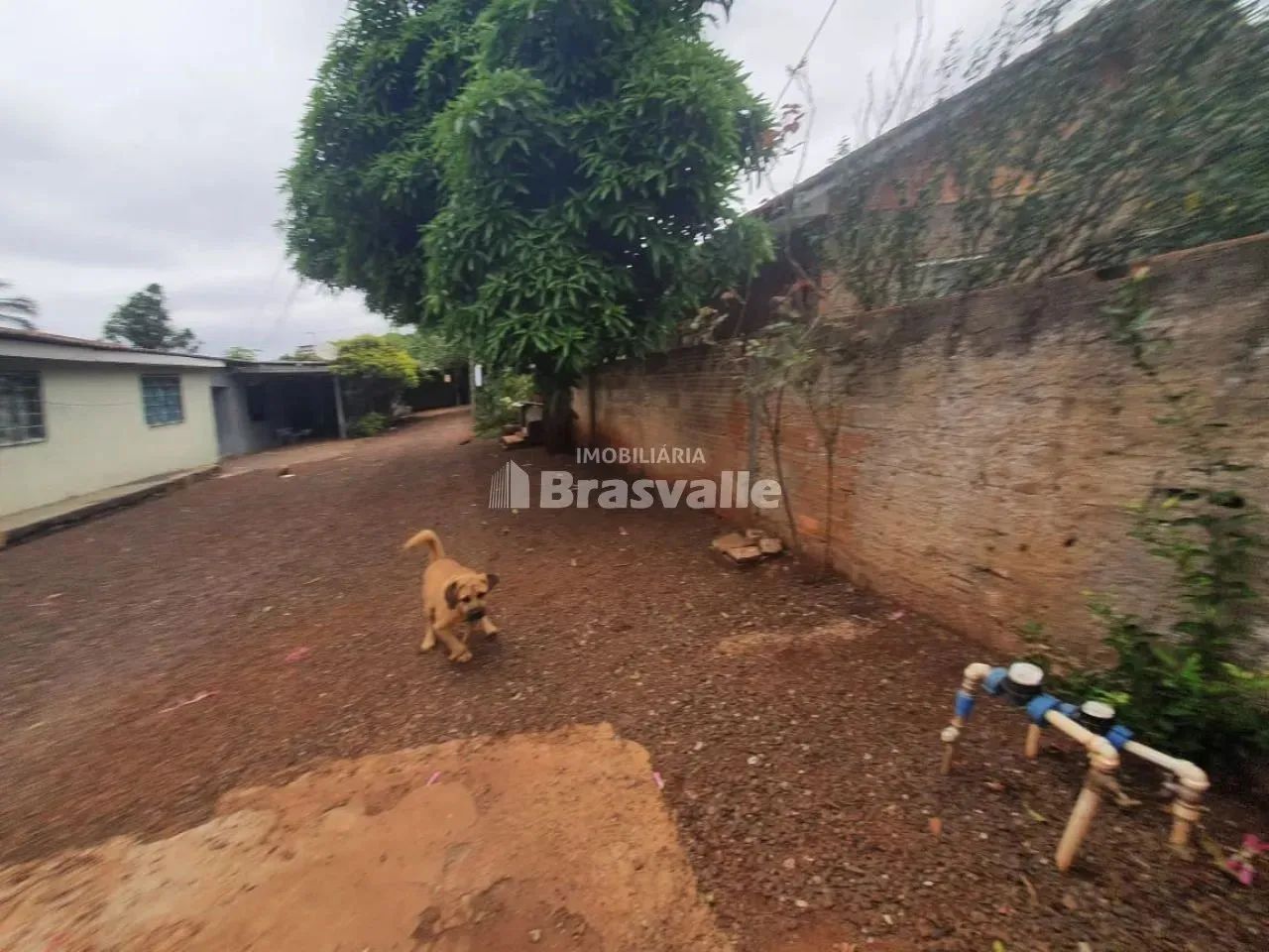 Terrenos à venda em Cancelli, Cascavel-PR - Foto 3