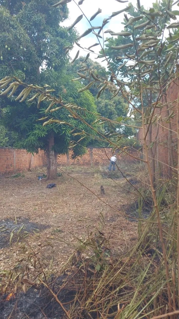 ~Terreno - Foto 3