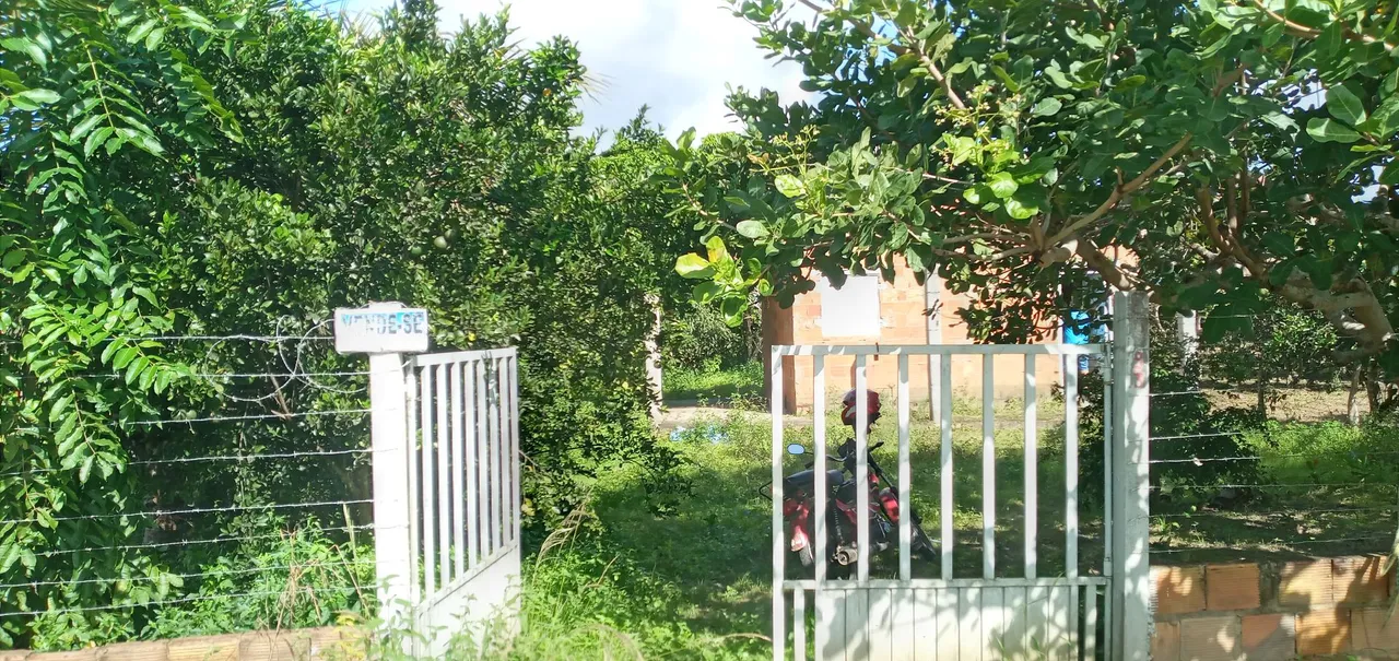Vendo casa tipo mini chácara no povoado Açu Velho lagarto-se
