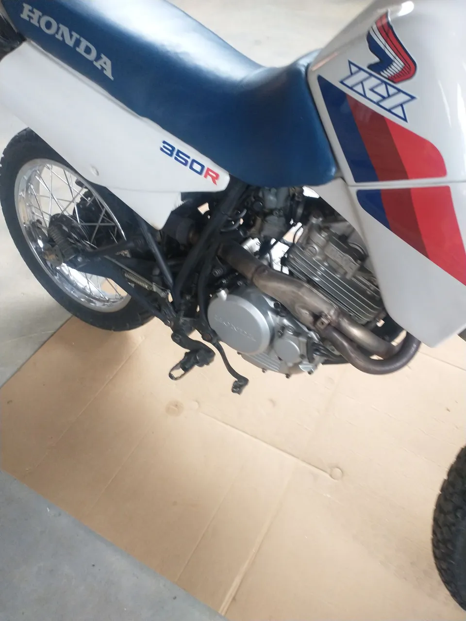 XLX 350