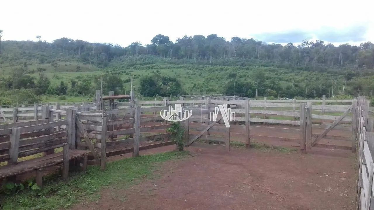 Fazenda à venda, 14520000 m² por R$ 18.200.000,00 - São Francisco - Óbidos/PA - Foto 6
