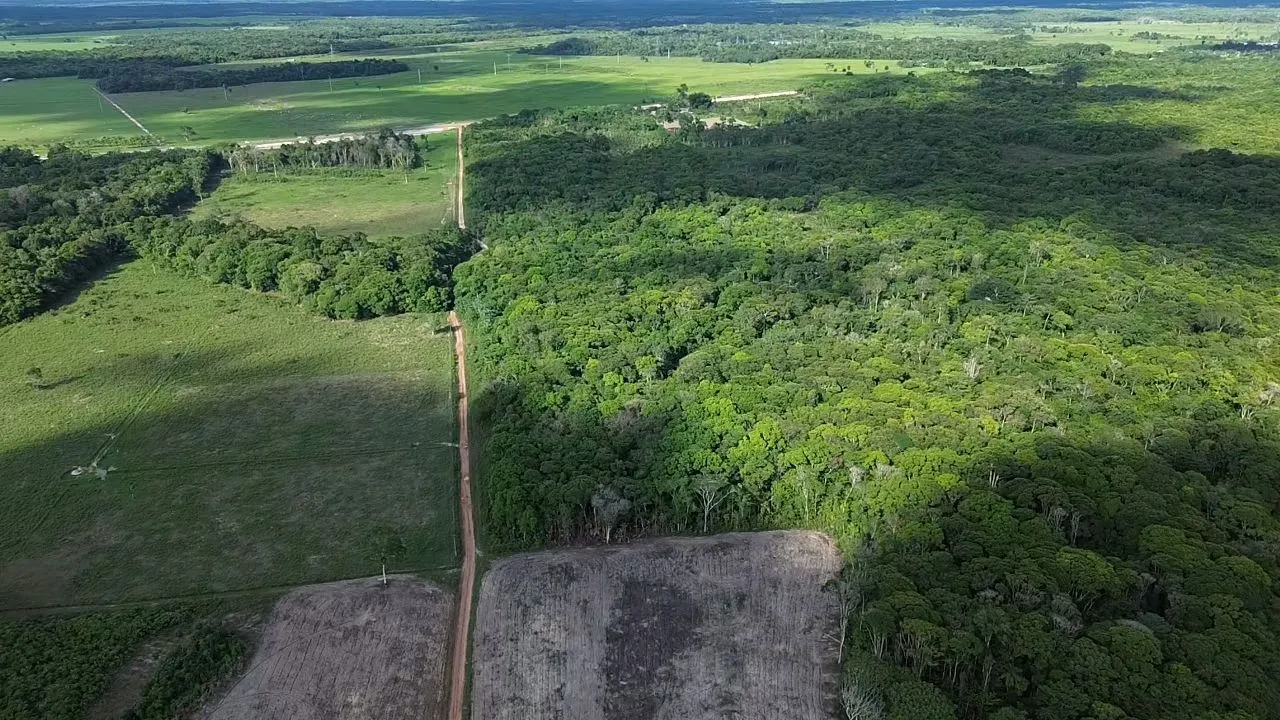 Oportunidade Imperdível: Chácara à Venda em Castanhal