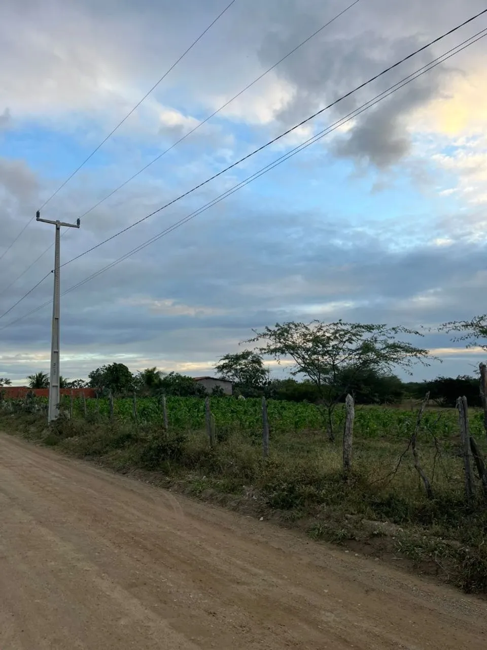 Tarefa de terra na estrada do Bonfim