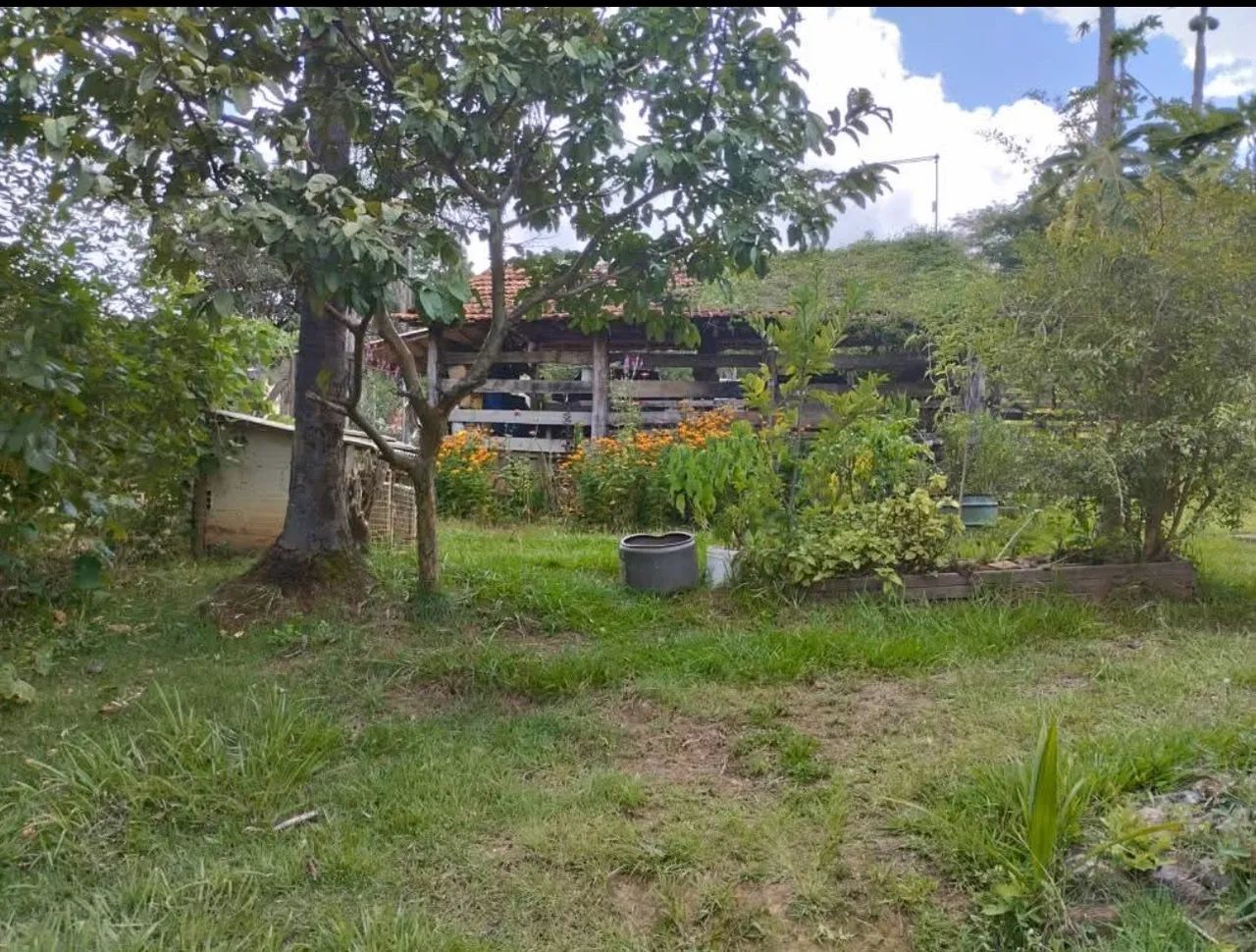 Vendo Chácara em Muribeca  - Foto 3