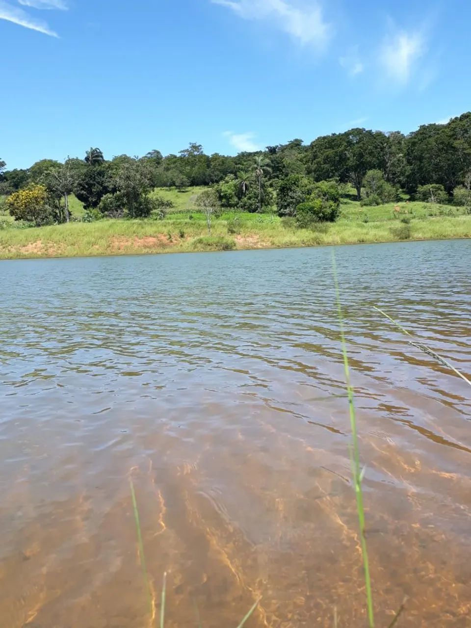Grande represa urbana na entrada Jaiara/Anápolis.  - Foto 4