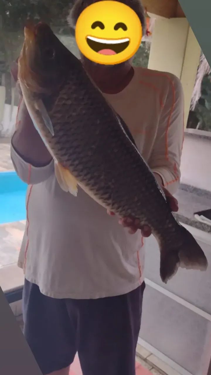 Rancho confortável Pacotes: Natal e Carnaval - Foto 10