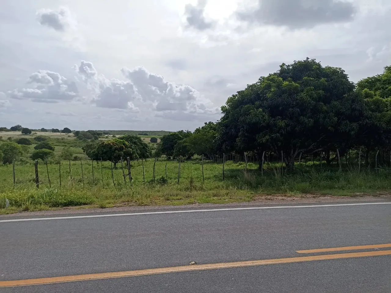 Fazenda/Sítio, 65HECTARES por R$ 350.000 na cidade de Pilar na Paraíba - 55 KM DE JOÃO PES
