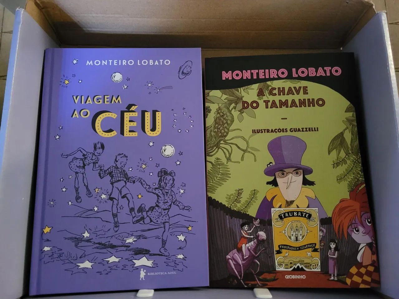 Paradidáticos  - Foto 3