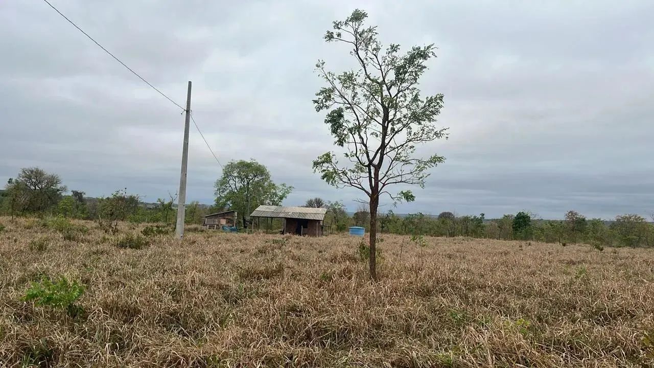 CÓD 556  Chácara 7 hectares  30 km de Campo Grande/MS (MS-040) - Foto 3