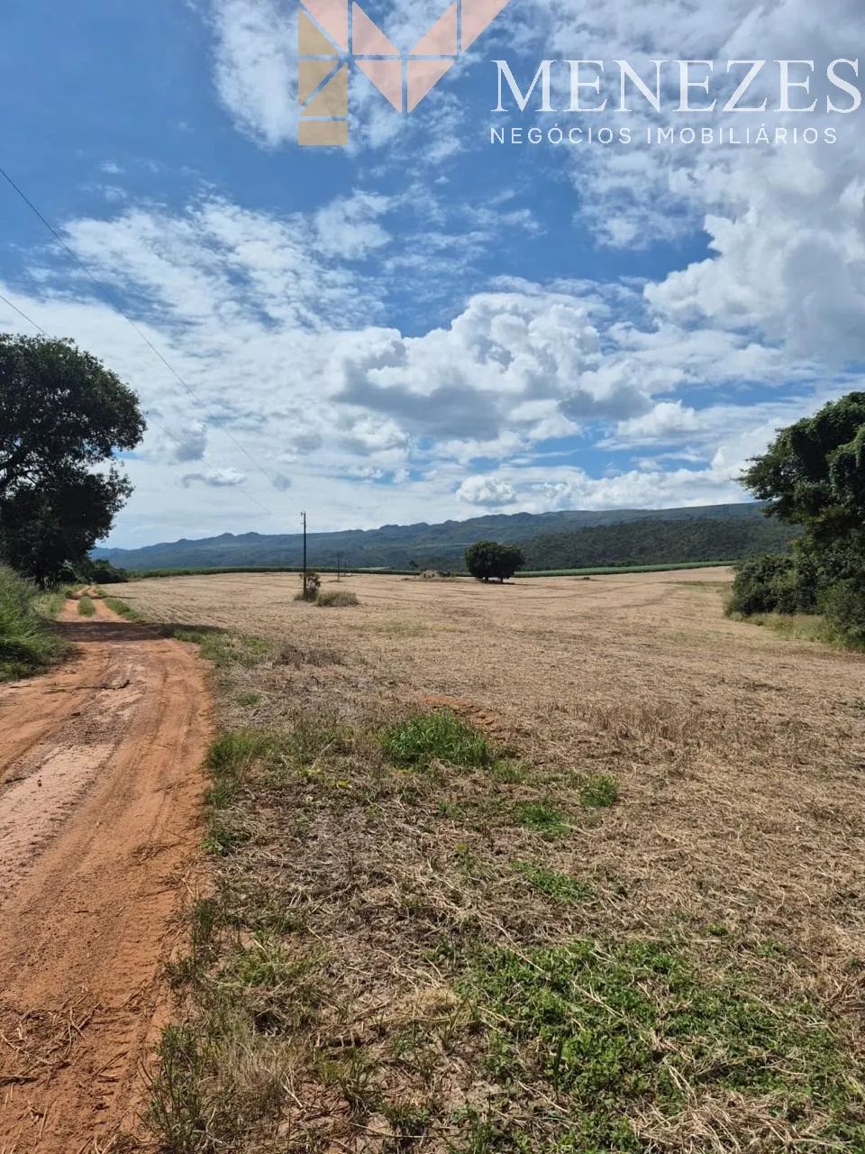 Sítio à venda em Delfinópolis - Foto 2