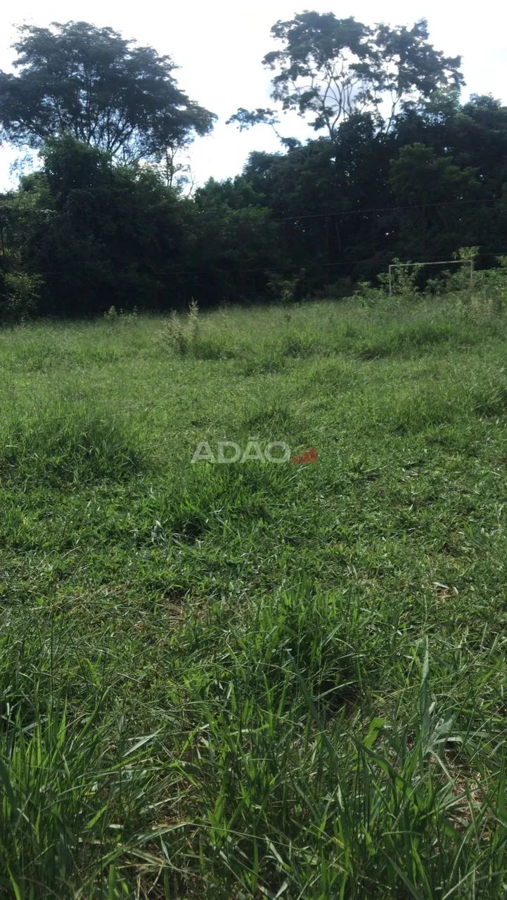 Chácara em Goiânia - Foto 4