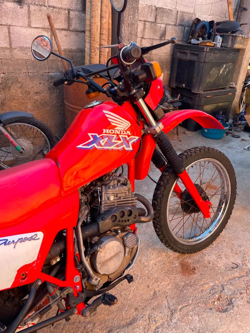 250R XLX famosa Xzelona - Foto 3
