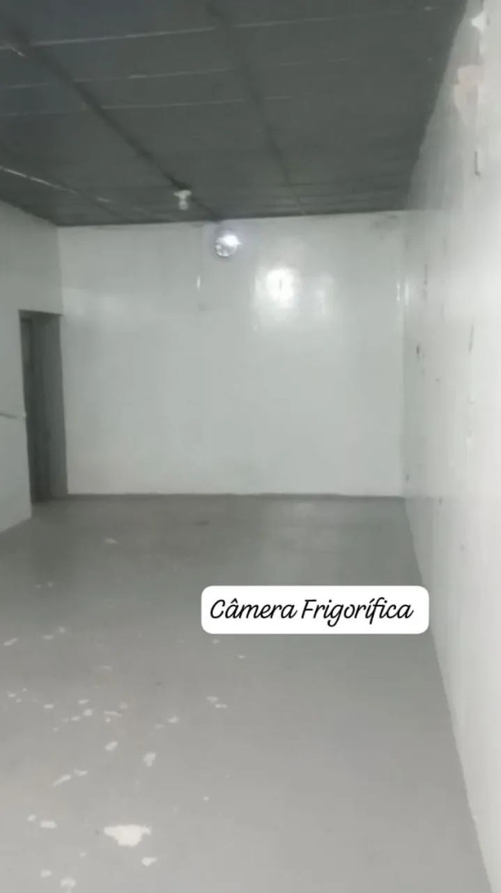 ALUGO GALPÃO COM SELO SIE  - Foto 5