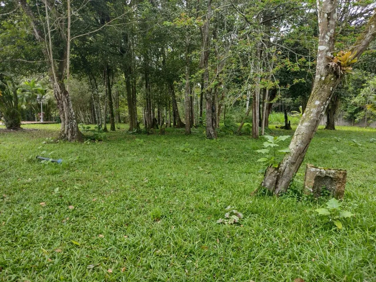 vende-se belíssima propriedade em aldeia!!!! também alugamos, podemos também alugar!. - Foto 10