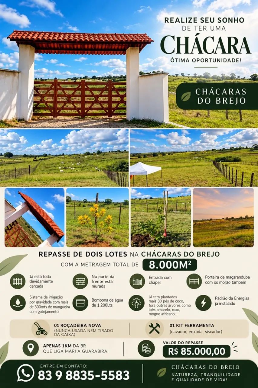 Chácara a venda  - Foto 5